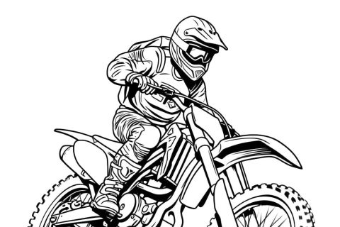 LICENCE PRO ROK  2026  2.část